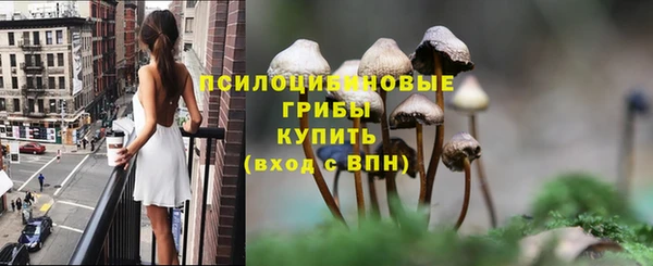 гидропоника Аркадак